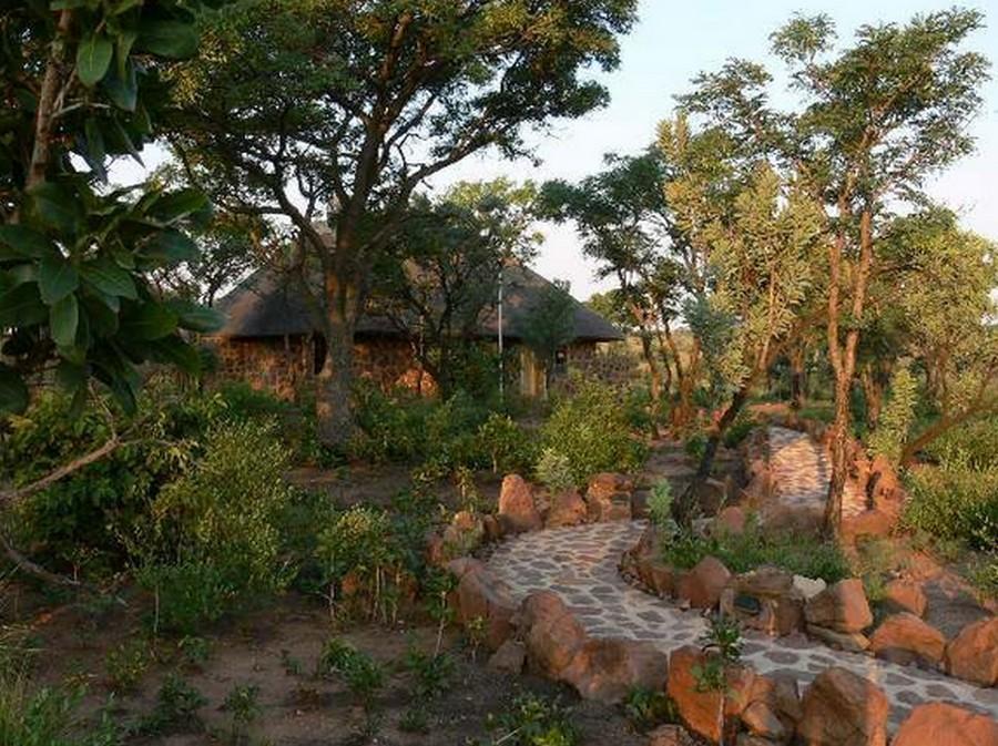 Abloom Bush Lodge & Spa Retreat Cullinan Extérieur photo