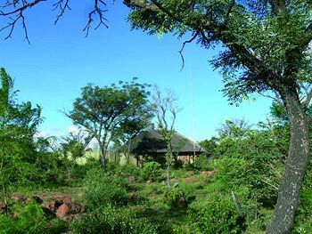 Abloom Bush Lodge & Spa Retreat Cullinan Extérieur photo